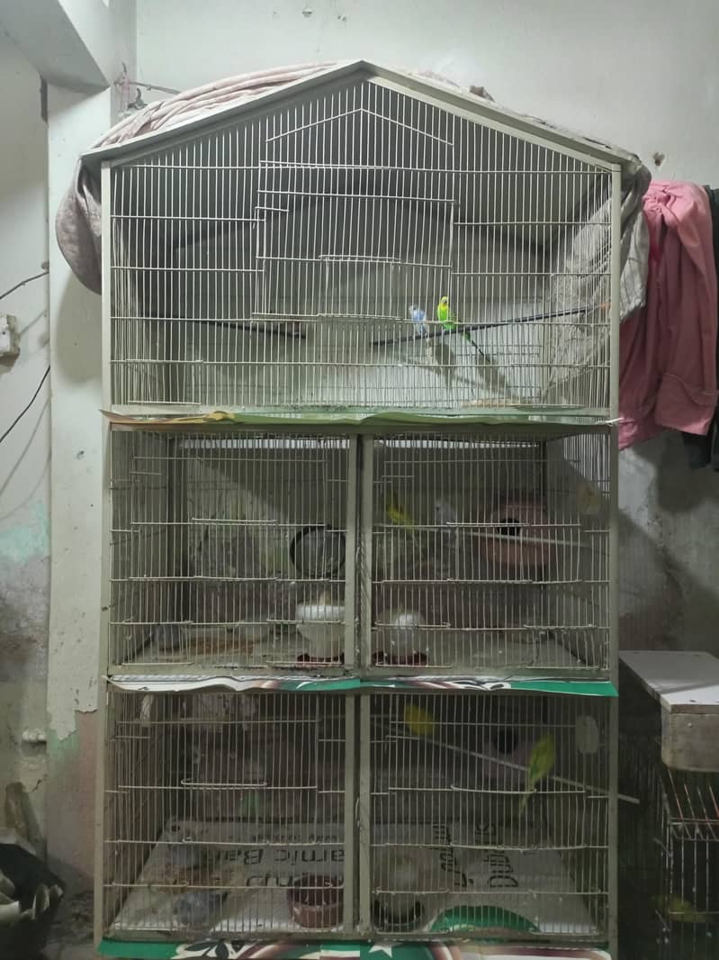 5 Portion Cage 4