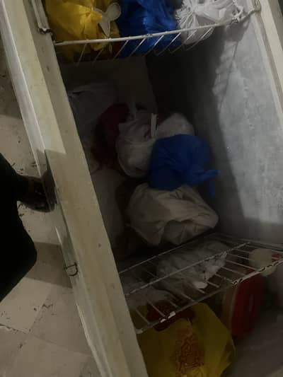 Freezer