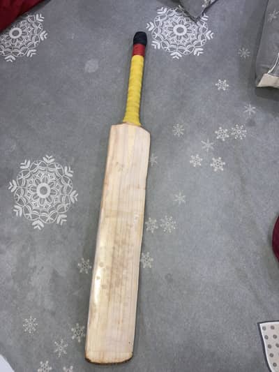 English willow cricket bat