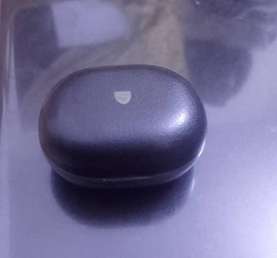 Ear buds