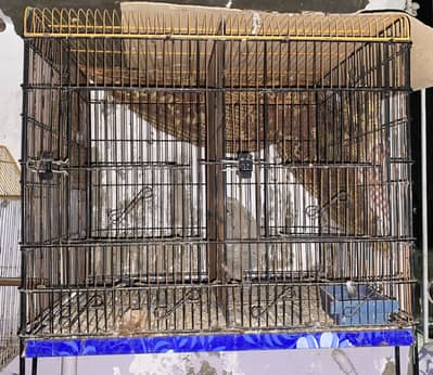 Double or single partition cage