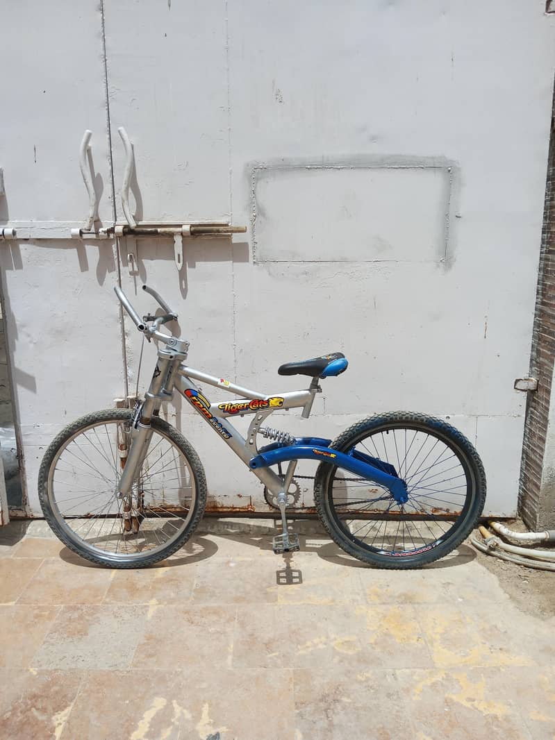 cycle 0