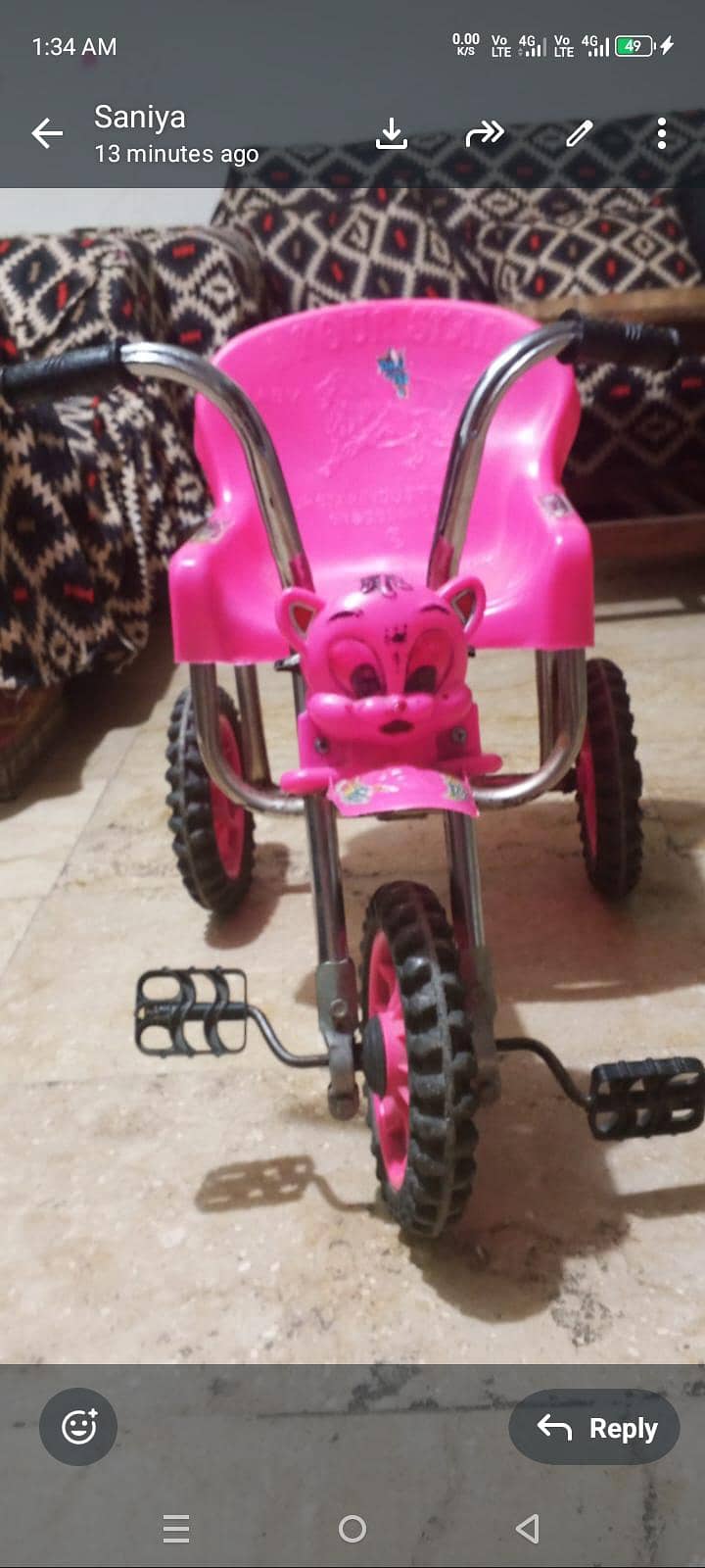 kidz cycle 2