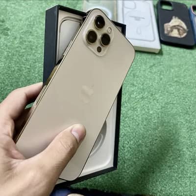 Iphone 12 pro max pta approved
