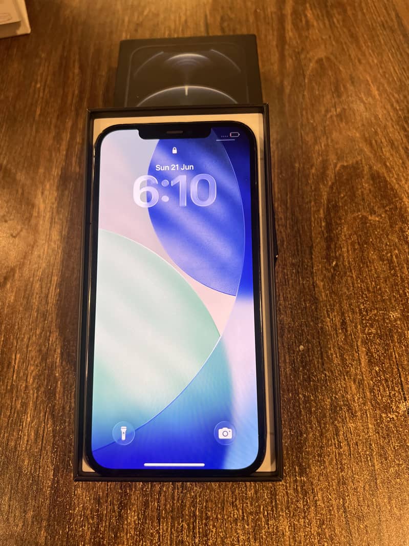 Apple iPhone 12 Pro Max 1