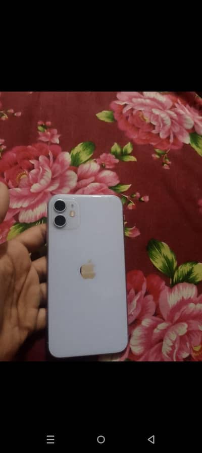 Apple iPhone 11