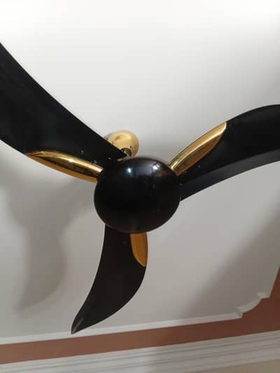 Pak Fan Ceiling Fan (non inverter)Pride Model Copper Winding 56” Gold