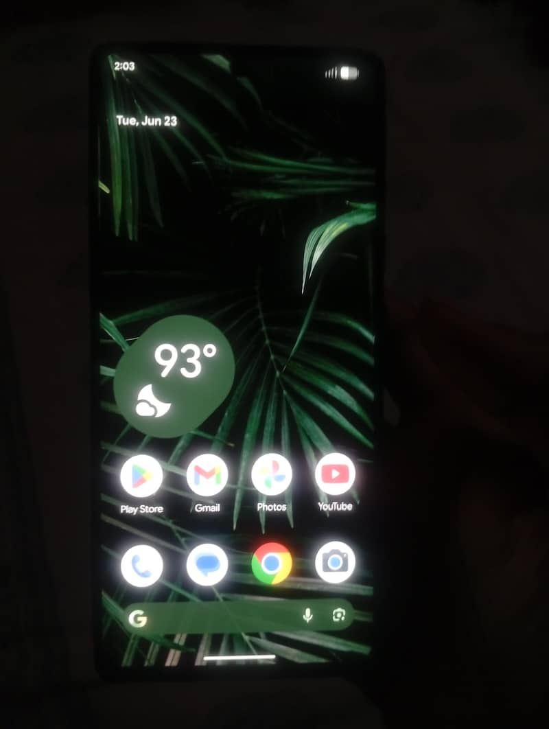 Google Pixel 6 Pro 1