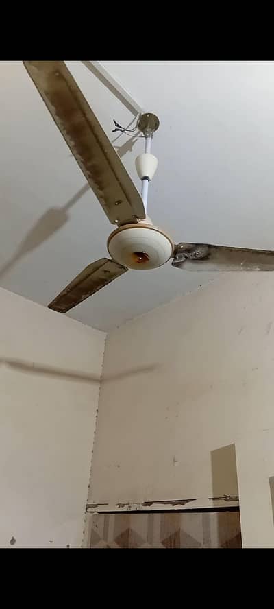 ceiling fan copper