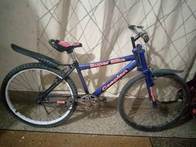 cycle 0315,9911261