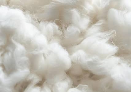 Rooi wool