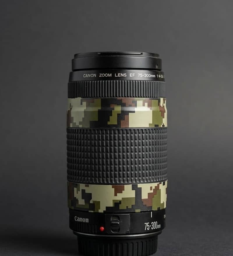 Canon EOS 60D 1