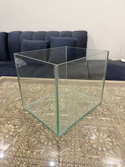 Nano Aquarium New - Custom Aquariums