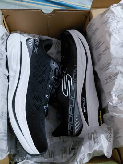skechers new with box orignol
