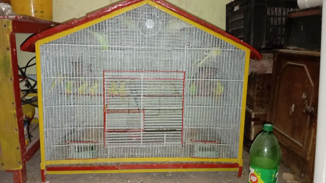 per piece 300 23 piece Hain cage ke sath 10,000 — photo 7