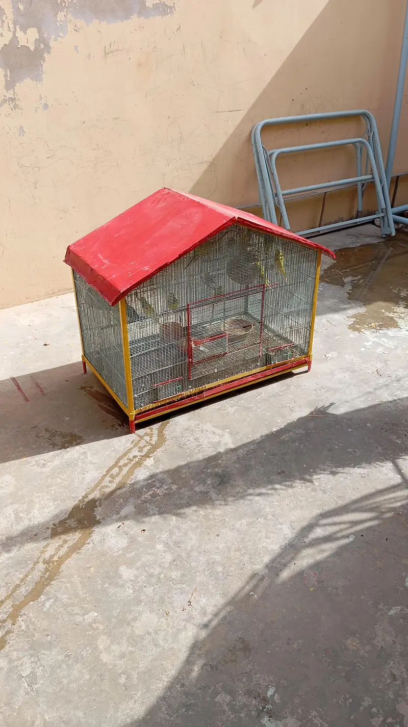per piece 300 23 piece Hain cage ke sath 10,000 — photo 8