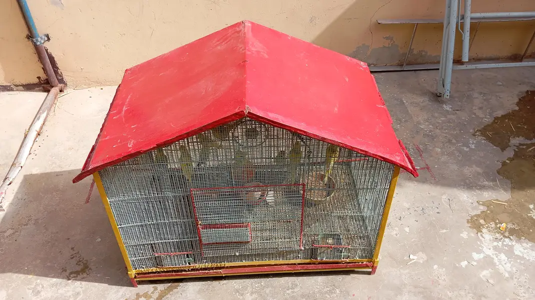per piece 300 23 piece Hain cage ke sath 10,000 — photo 9