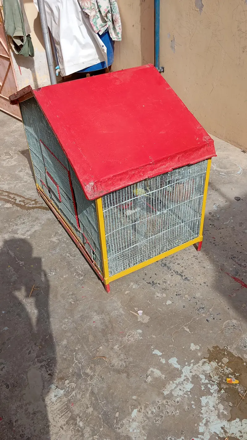 per piece 300 23 piece Hain cage ke sath 10,000 — photo 10