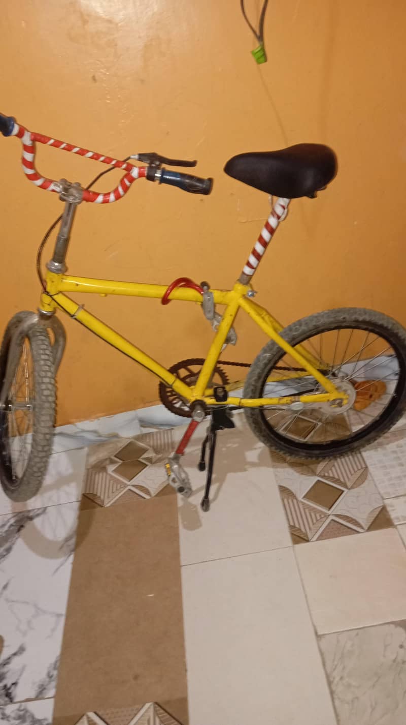 Cycle 3