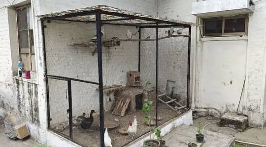 Foldable Cage
