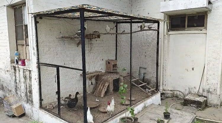 Foldable Cage 0