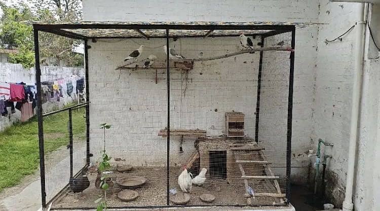 Foldable Cage 1