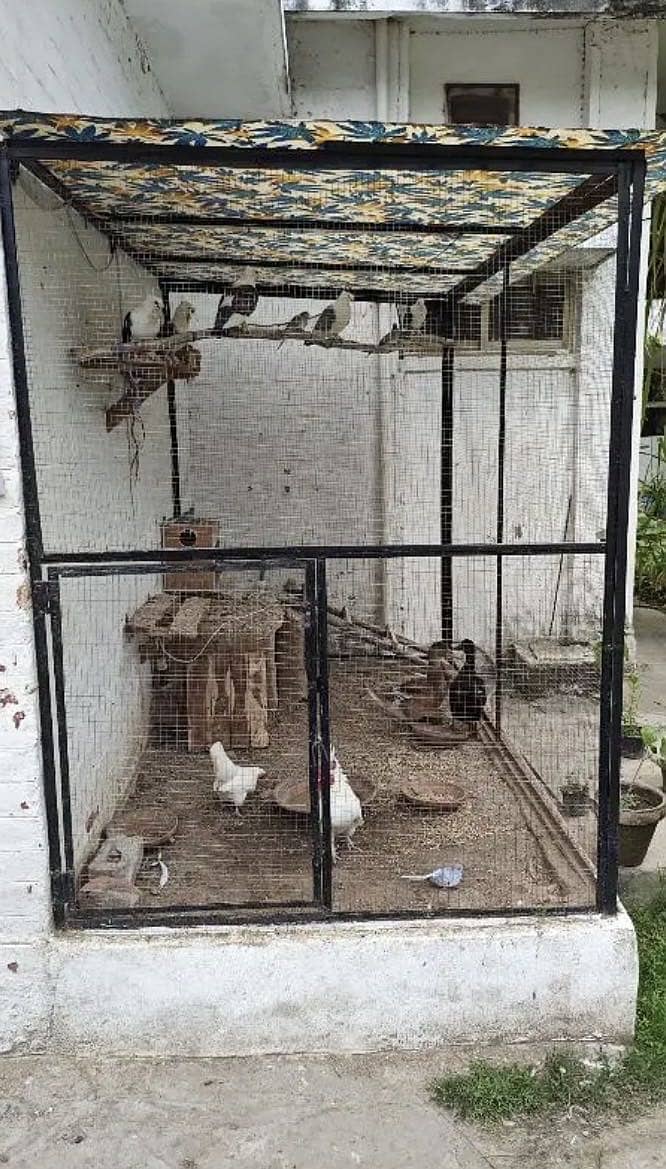 Foldable Cage 2