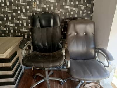 Two Executive Chairs
