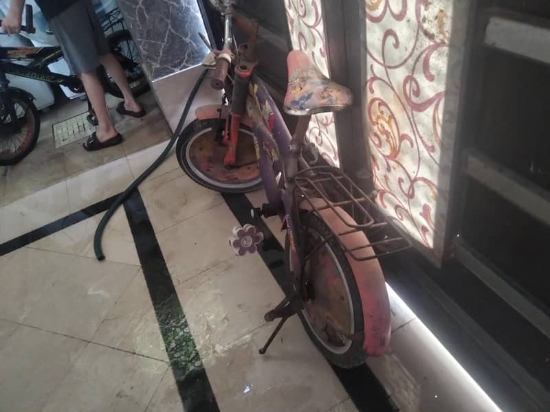 cycles 11