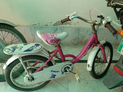 Pink Cycle