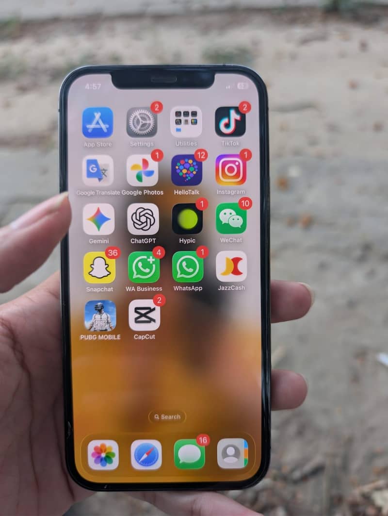 12 pro 5