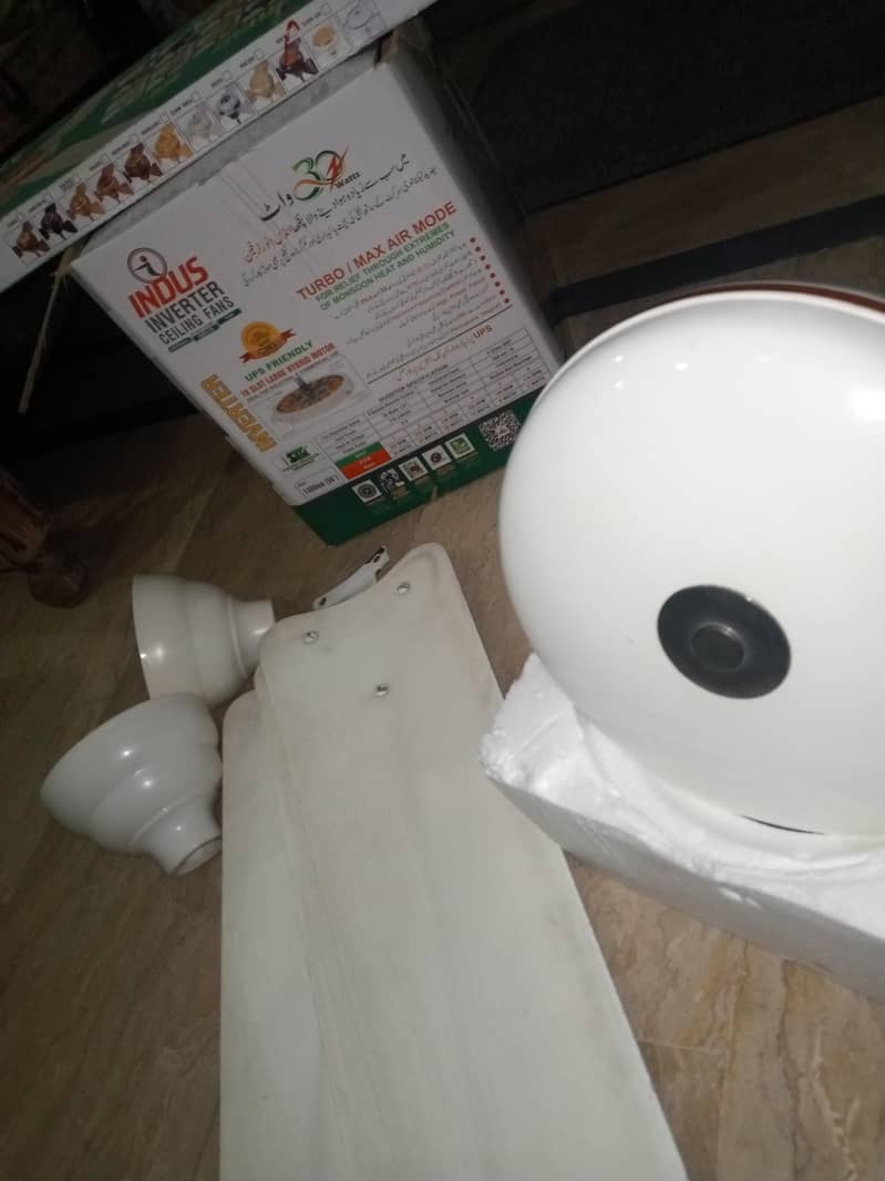 Indus ceiling Fan 2