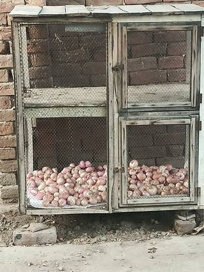 Double portion hens cage