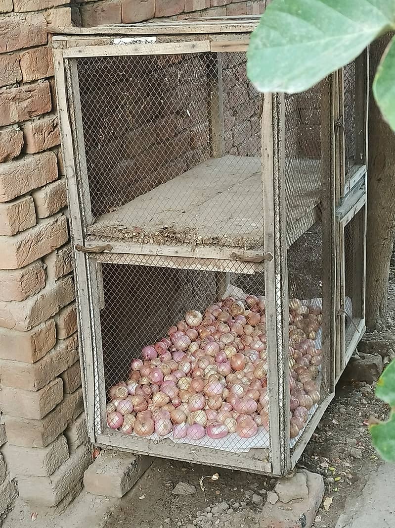 Double portion hens cage 1