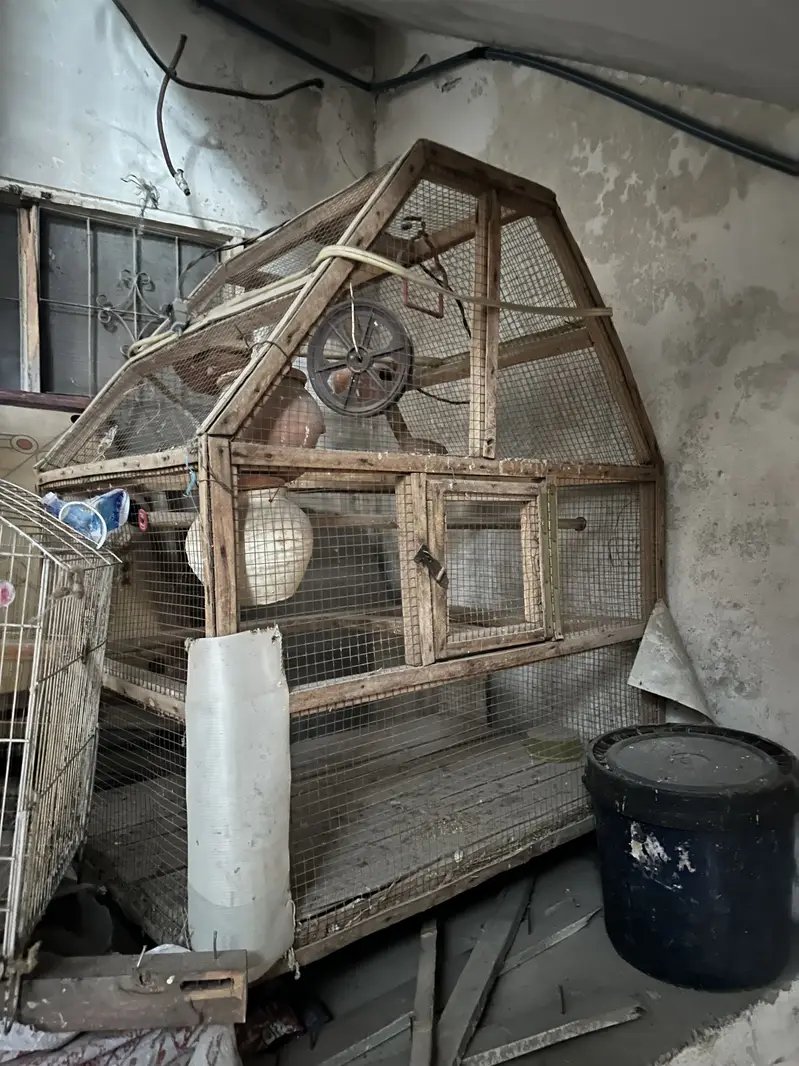 Wooden Birds Cage — photo 2