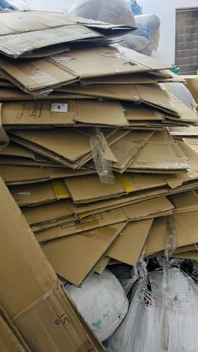 Carton gatta 250 pcs