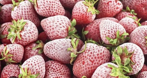 Frozen Strawberry