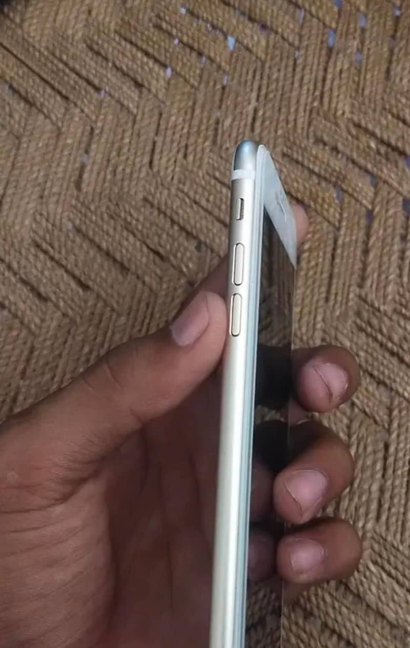 ali123 1