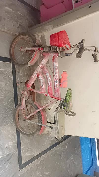 Cycle