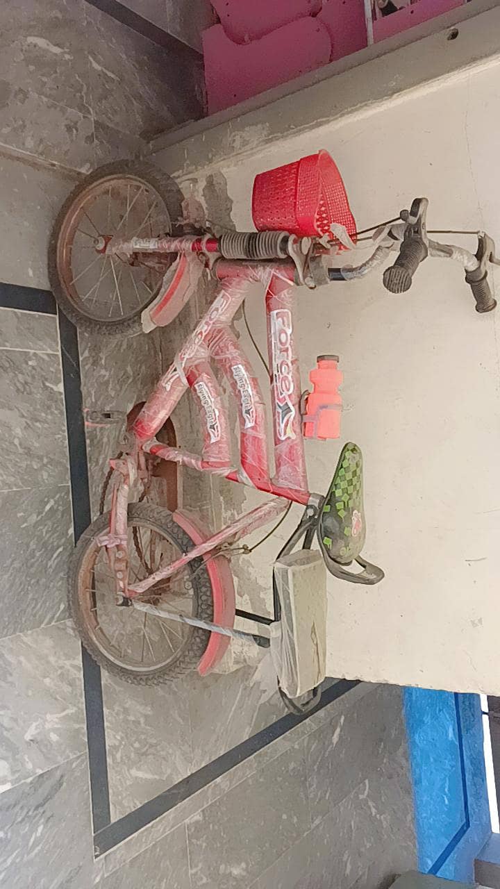Cycle 0