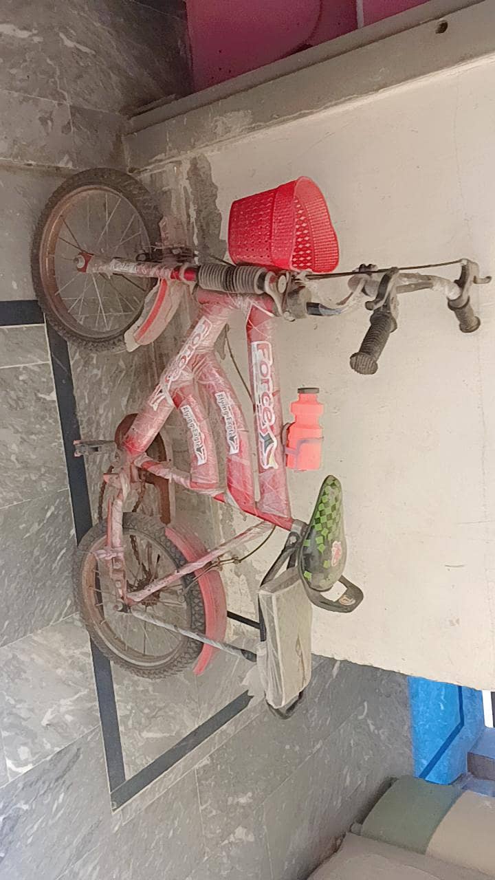 Cycle 2