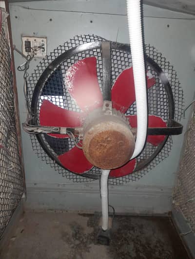 Room water cooler