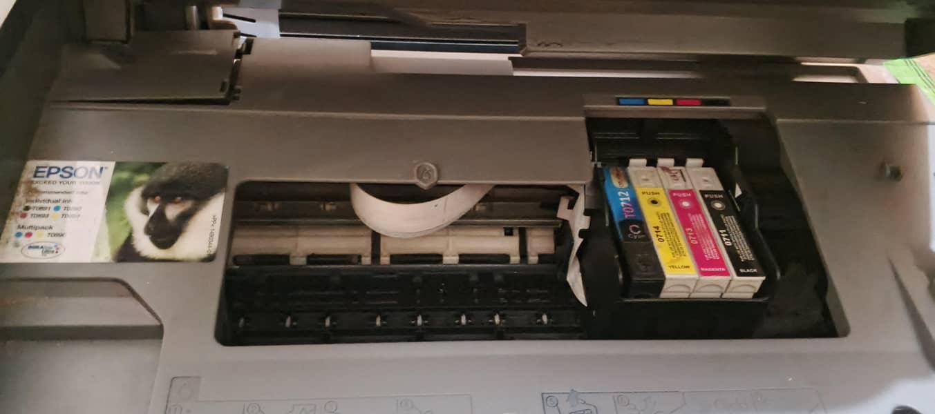 Epson 1