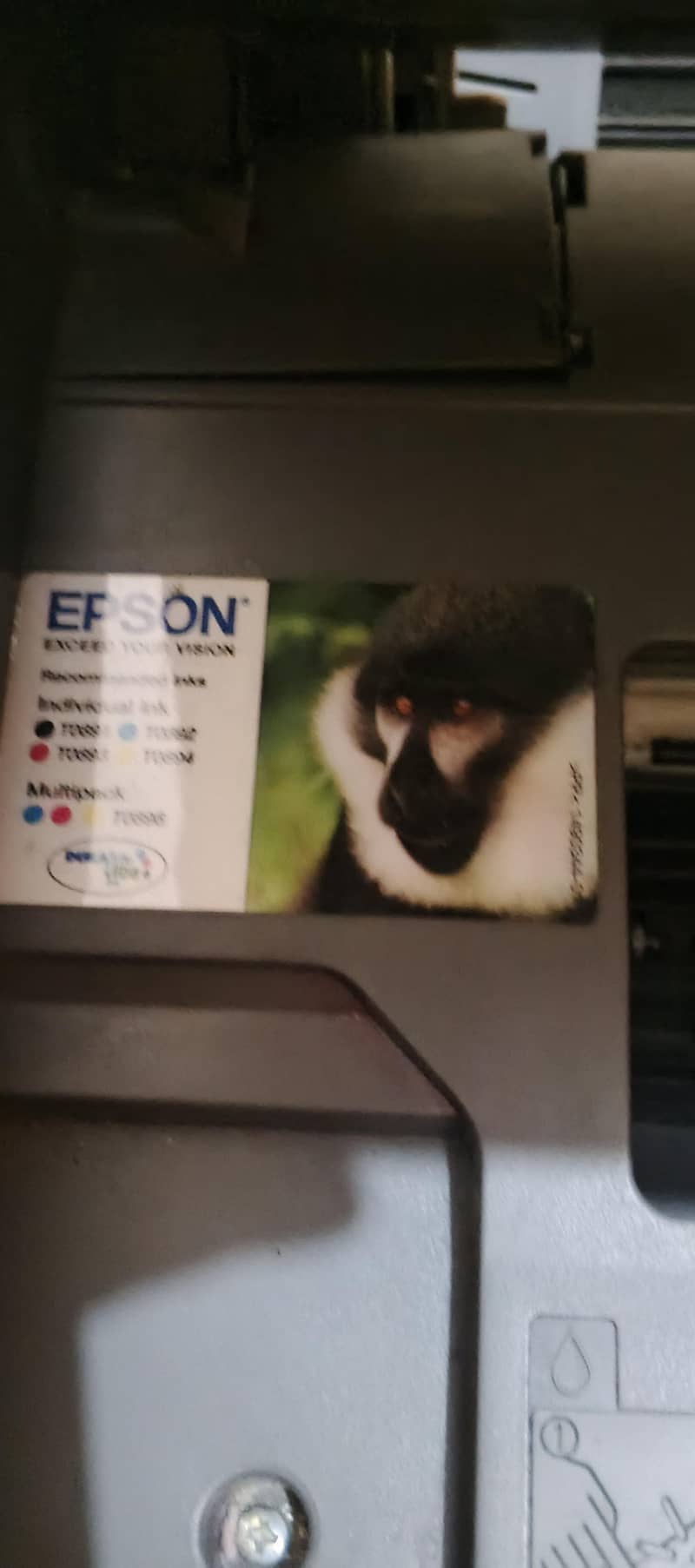 Epson 3