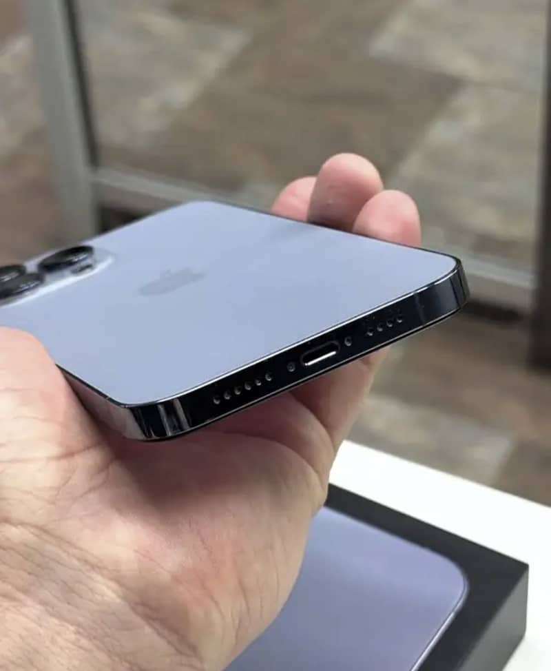 Apple iPhone 13 Pro Max 2
