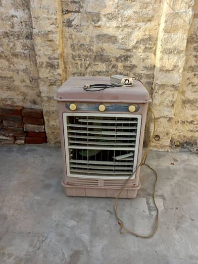 DC 12 volt cooler