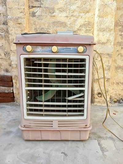 DC 12 volt cooler