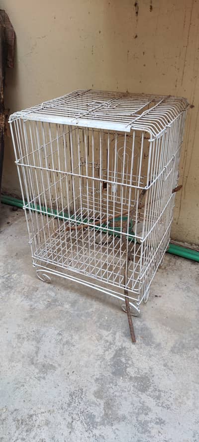 Cage for large parrot