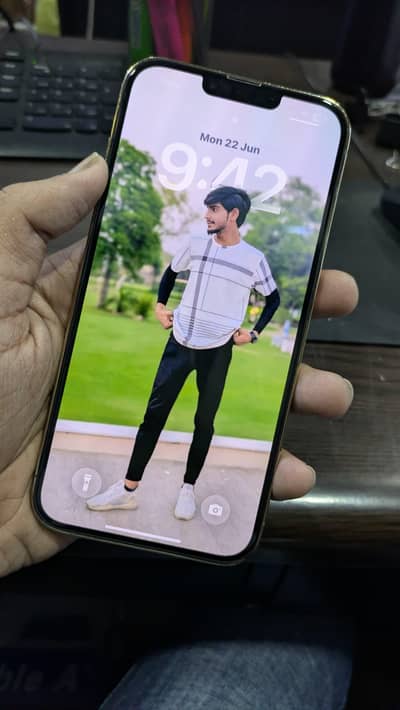 Apple iPhone 13 Pro Max