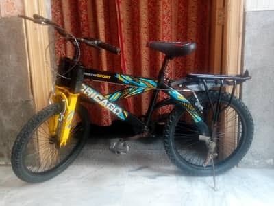 cycle 03098085981